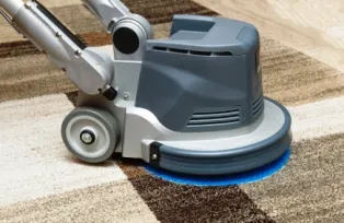 Carpet cleaners in Hollywood & Hallandale Beach, FL