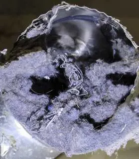 Hollywood Dryer Vent Cleaning