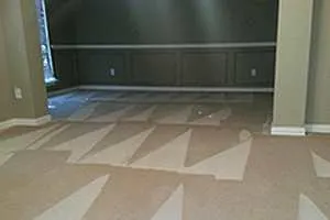 Carpet Cleaning in West Palm Beach