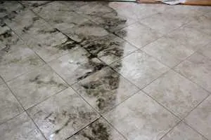 Tile and Grout Cleaning in North Palm Beach