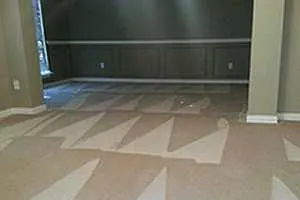 Carpet Cleaning in West Palm Beach