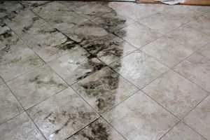 Tile and Grout Cleaning in North Palm Beach